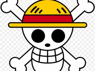 one piece puzzle