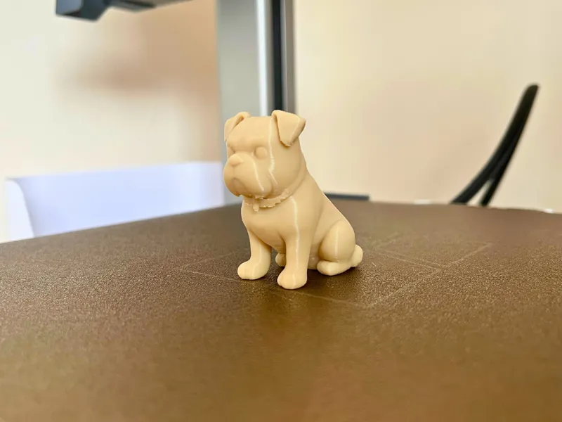 Sitting Down Dog