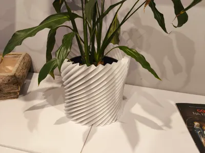 Vase to flower