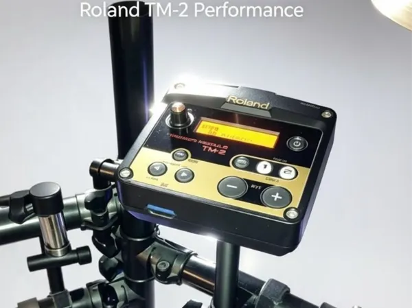 https://makerworld.bblmw.com/makerworld/model/US66b71a21480be8/design/b2c00119be0d3243.jpg