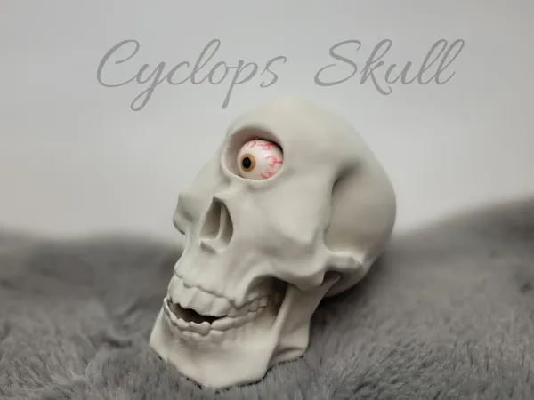 https://makerworld.bblmw.com/makerworld/model/US66bbacab1a4a57/design/2025-03-12_97c29b374d718.jpg