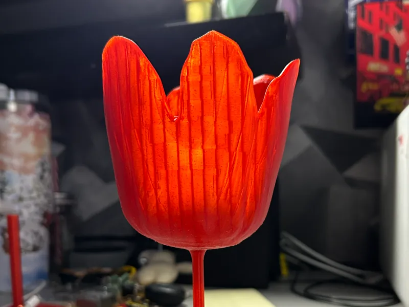 verre à pied tulipe