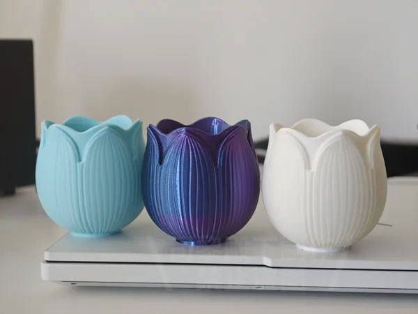 https://makerworld.bblmw.com/makerworld/model/US66bfae7def673a/design/18cdae0f475e2bb0.jpg