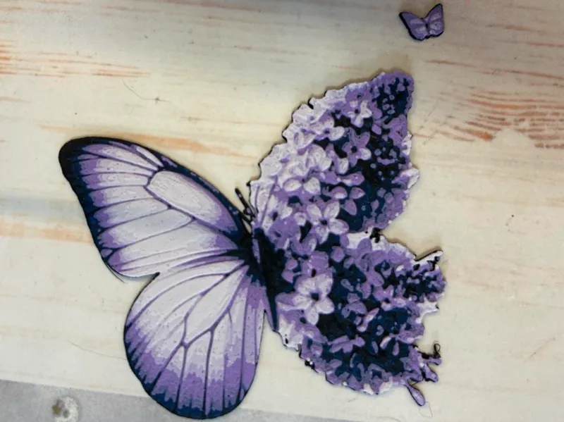 Butterfly magnet