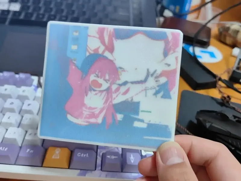 波奇多色浮雕照片