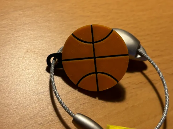 https://makerworld.bblmw.com/makerworld/model/US66c6ff75c845c4/design/2024-11-09_dd7c958325a548.jpeg