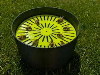 Bee watering station