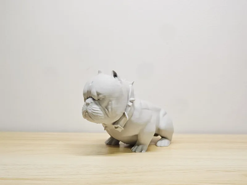 American Bully