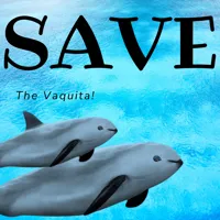 Single Color 125% - 1 Vaquita