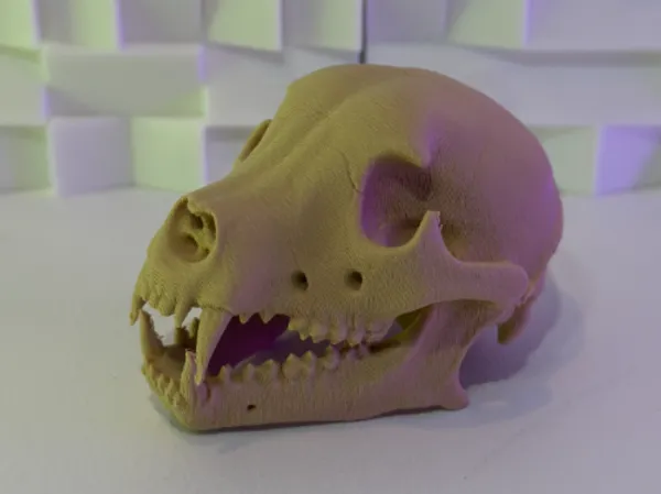 https://makerworld.bblmw.com/makerworld/model/US66cadba1c131c0/design/2025-11-01_dbe37af1efafc.jpg