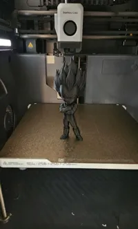 0.16mm layer, 2 walls, 8% infill