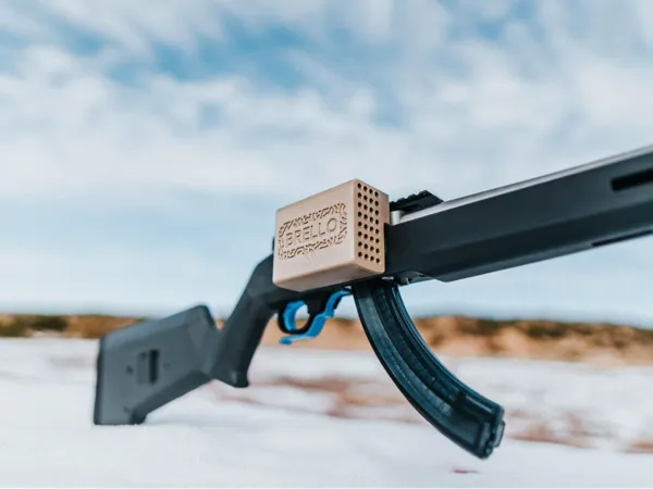 https://makerworld.bblmw.com/makerworld/model/US66cf662ea7b7ab/design/2024-11-19_e8bd3e9b2f408.jpg