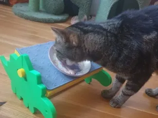 Stegosaurus Dino elevated table for cats