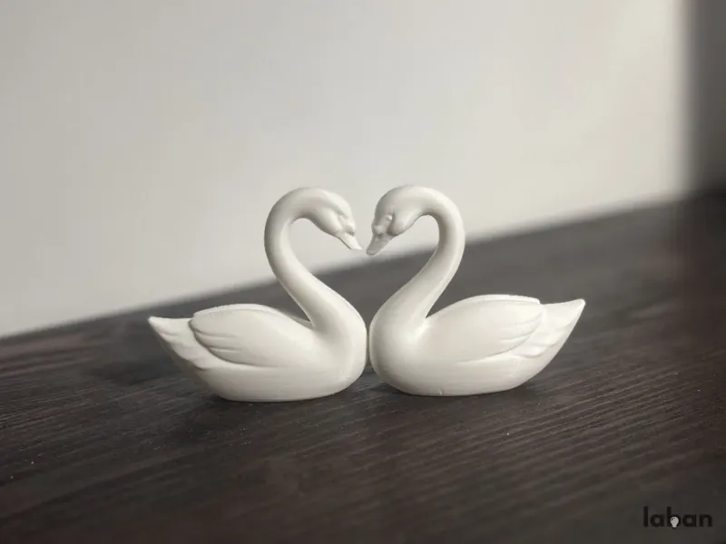Love Swans