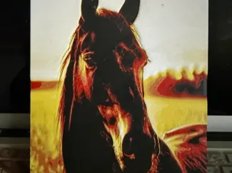 Hueforge horse head