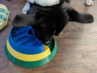 Spin & Seek Interactive Dog Slow Feeder Bowl