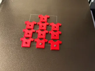 Coach magnets for sports