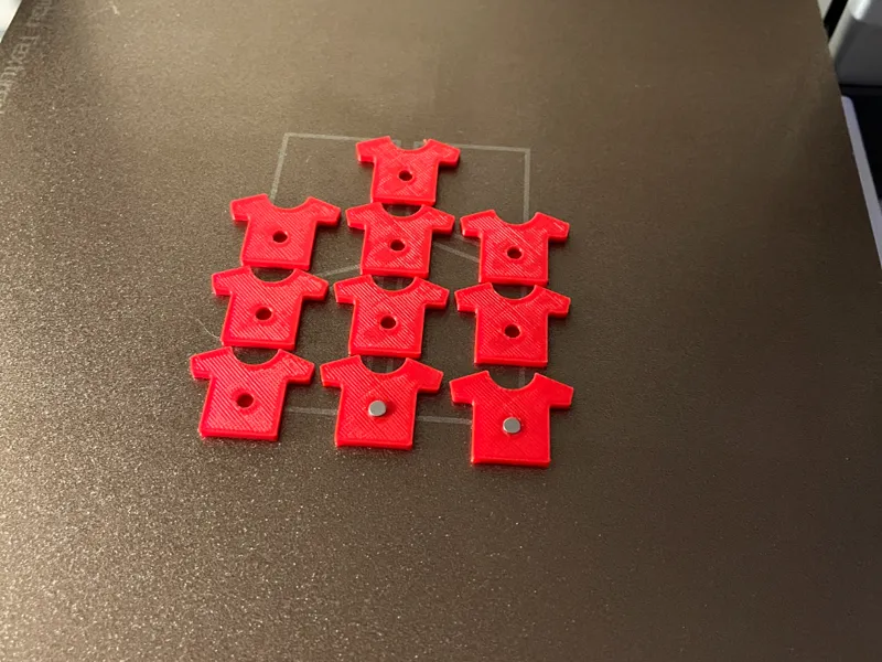 Coach magnets for sports