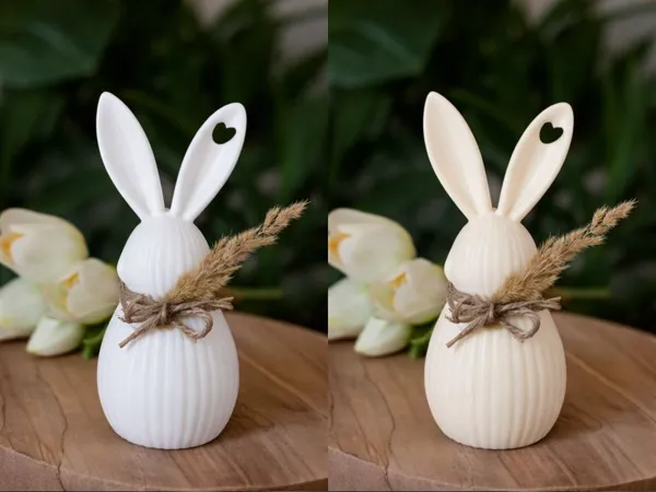 https://makerworld.bblmw.com/makerworld/model/US66db449c875129/design/2026-01-19_181e4daea2ec48.png