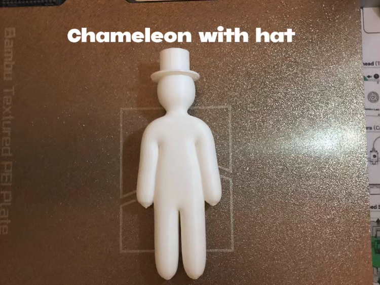 Chameleon with hat hider