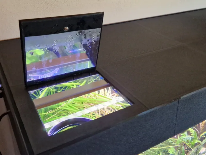 Aquarium cover 80x35 cm