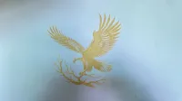 Aigle aux ailes déployées — photo 2