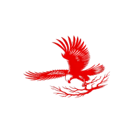 Aigle aux ailes déployées — photo 3
