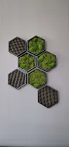 0.24mm layer, 2 walls, 15% infill