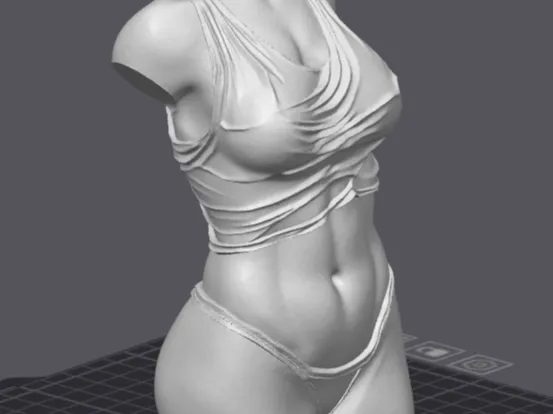 https://makerworld.bblmw.com/makerworld/model/US66ed01e222f2b8/design/2025-11-24_3481de114ca16.png