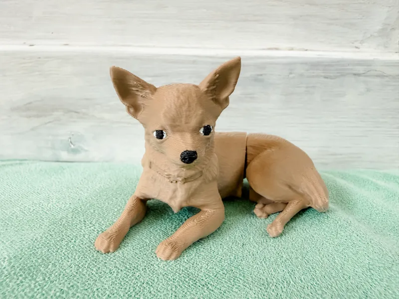 Flexi Chihuahua