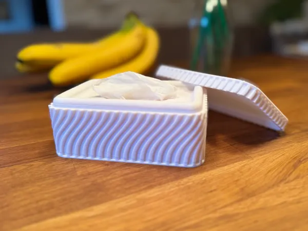 https://makerworld.bblmw.com/makerworld/model/US66f355055aaa03/design/2025-02-28_c1de1c97b614e.jpeg