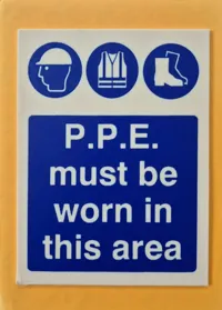 P.P.E Sings (Smaller Version)