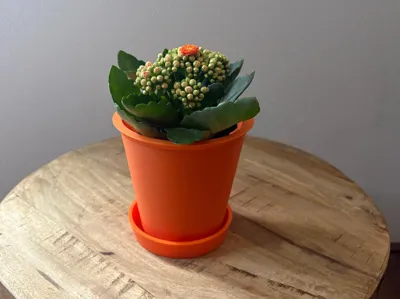 flower pot with base