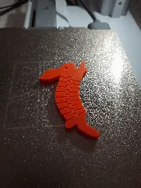 Lapin flexible sautillant — photo 4
