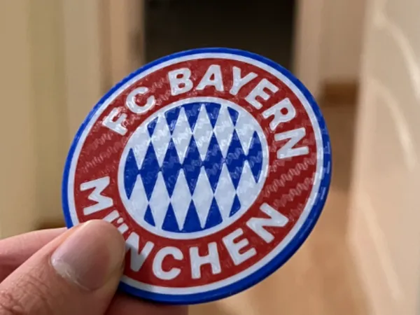 https://makerworld.bblmw.com/makerworld/model/US66f9d6367402cc/design/2024-06-22_7f832e7fc937d.jpg