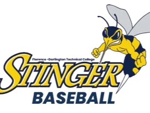 Stinger Baseball FDTC