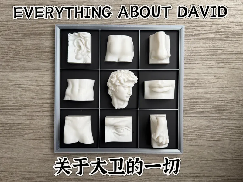 关于大卫的一切 Everything about David 冰箱贴/相框/摆件