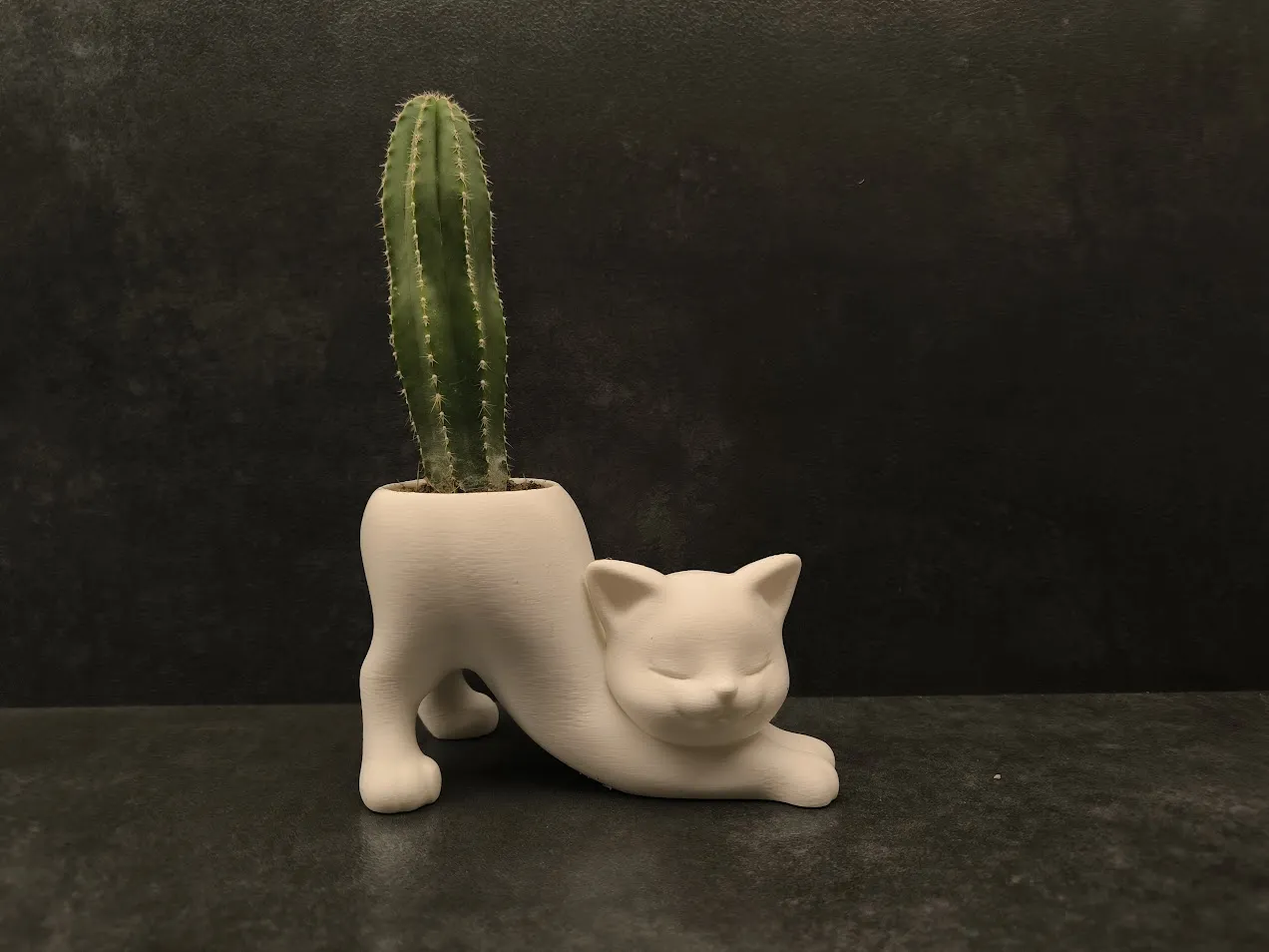 Planter Cat view 2