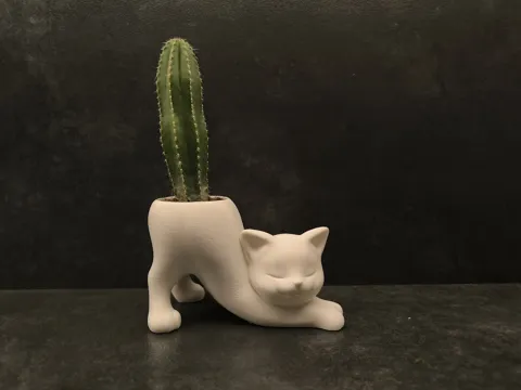 Planter Cat view 2