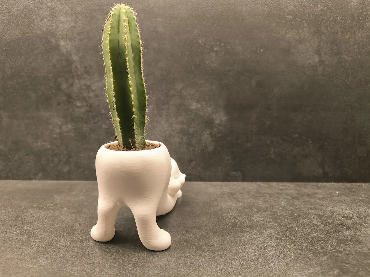 Planter Cat view 4