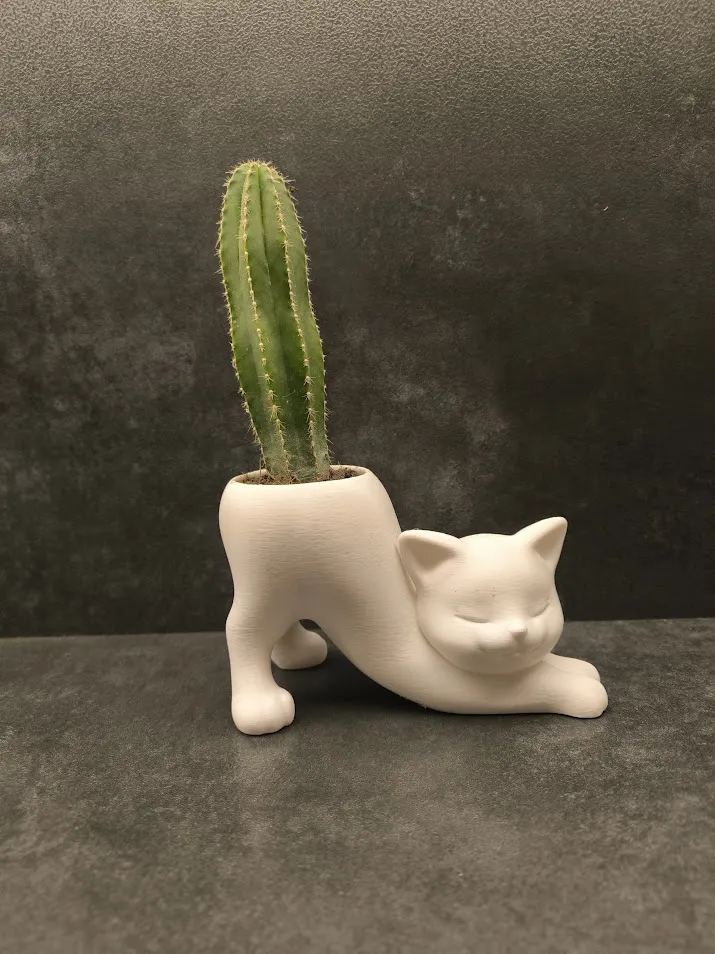 Planter Cat view 3