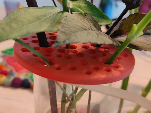 https://makerworld.bblmw.com/makerworld/model/US670104adcfc901/design/2024-09-10_31626ac68f263.jpg