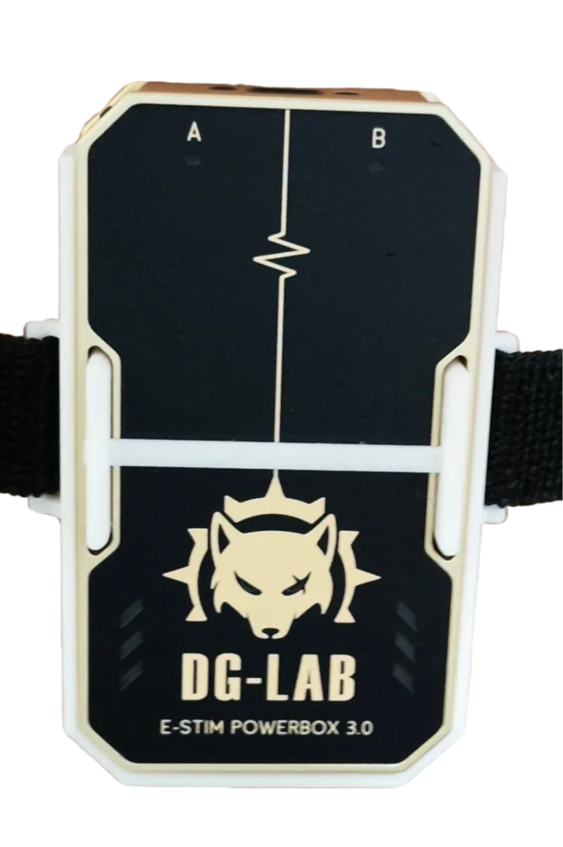 Base of the DG-lab mainframe 郊狼主机的底座