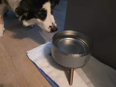Dog water food dish stand. cat dog pets dish bowl