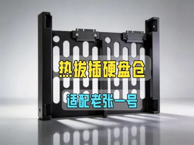 Disk bay unit adapted for Lao Zhang No. 1 NAS (supports hot-swapping)