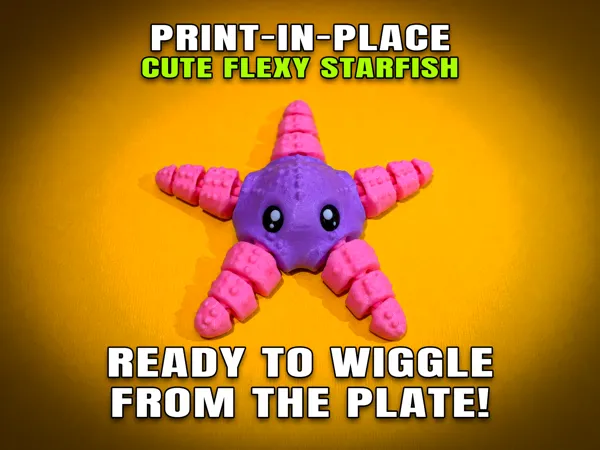 https://makerworld.bblmw.com/makerworld/model/US670c2180dceb5d/design/3036364393dabbf8.png
