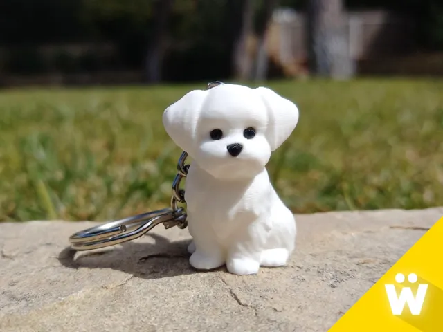 Little Maltese Dog - Keychain Edition