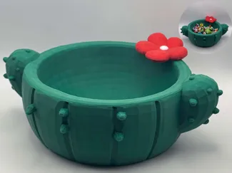 Cute Chubby Cactus – No AMS Needed