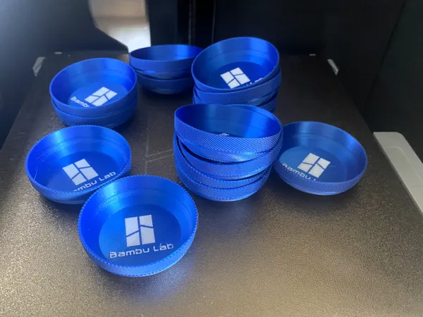 https://makerworld.bblmw.com/makerworld/model/US6713af6270a3a8/design/2025-08-01_4053a070c70198.jpg