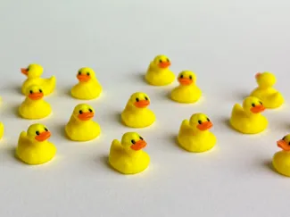 Mini Animals (Rubber Duck)